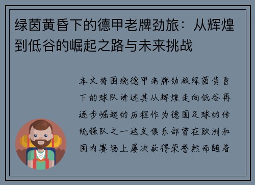 绿茵黄昏下的德甲老牌劲旅：从辉煌到低谷的崛起之路与未来挑战
