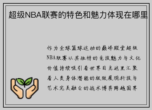 超级NBA联赛的特色和魅力体现在哪里